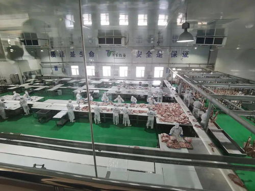 電子商務進牧區，郵政企業有話說