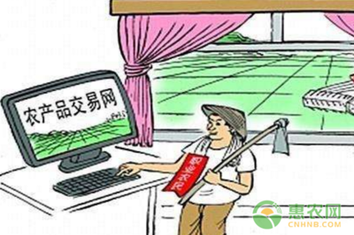 數(shù)字技術(shù)賦能，郵路變富路 中國(guó)郵政電商精準(zhǔn)扶貧引領(lǐng)返鄉(xiāng)創(chuàng)業(yè)新浪潮